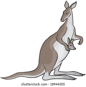 Kangaroo Character on white background