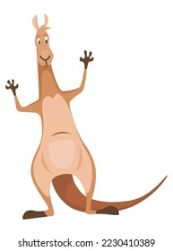 Kangaroo character posing. Adult kangaroo with pouch standing. Vector flat cartoon animal of australian fauna and wildlife, isolated on white background