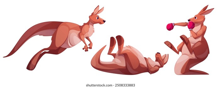 Kangaroo characters set isolated on white background. Vector cartoon illustration of Australian marsupial animal jumping, lying asleep or after knockdown, boxing in sports gloves, cute active mascots