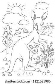 Kangaroo coloring page. Animals cartoon. Coloring page outline of cartoon. Vector illustration, coloring book for kids. Doodle page. Children background