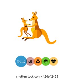 Kangaroo and cub