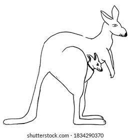 Kangaroo with kangaroo cub in bag. Vector, sketch image in primitive art style. Illustration about saving nature, wildlife of Australia. Can be use for printing and coloring book