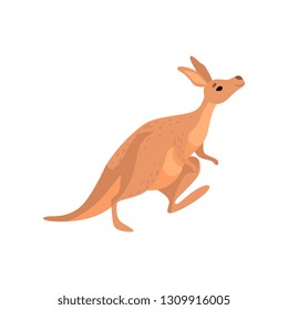 Kangaroo, Cute Brown Wallaby Australian Animal Character Vector Illustration