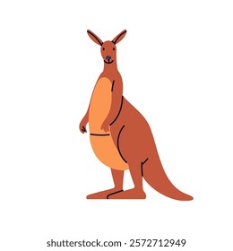 Kangaroo, cute marsupial animal. Funny Australian tropical mammal standing, looking. Lovely exotic wild fauna from Australia. Flat graphic vector illustration isolated on white background