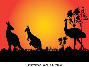 kangaroo and emu in the sunset Australia