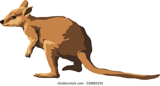 kangaroo eps