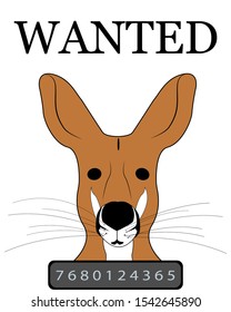 Kangaroo face. Close-up. Isolated on a white background. With the inscription wanted. Vector graphics. Vector flat icon. There is a place for text. Copy space.