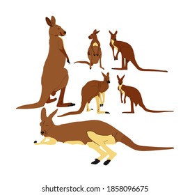 Ilustración vectorial de la familia canguro aislada en fondo blanco. Retrato animal australiano. Símbolo de recuerdo turístico. Mejor saltador de fauna. Atracción zoológica.