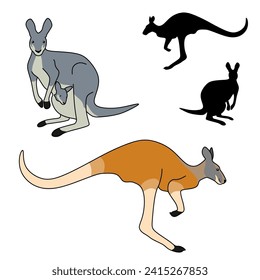 Kangaroo family vector illustration. red kangaroo. australian animals