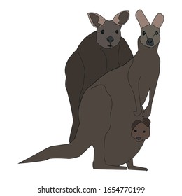 kangaroo family is very beautiful