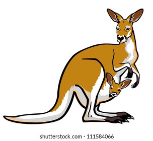  kangaroo female with joey  in pouch, vector picture isolated on white background,side view image