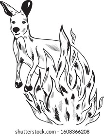 Kangaroo in fire , Australia , vector animals isolated illustration . Concept for print, cards, logo
