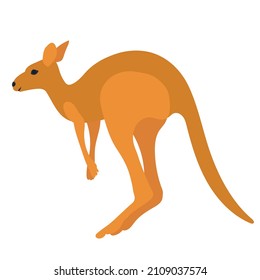 kangaroo, flat design on white background, isolated, vector