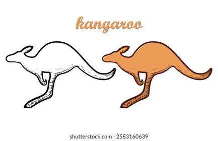 kangaroo hand drawn engrave style vector art icon