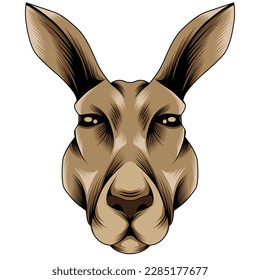 kangaroo head vector illustration in detailed style