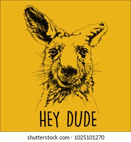 Kangaroo head vector illustration hand drawn on yellow background. Combined with hey dude letters