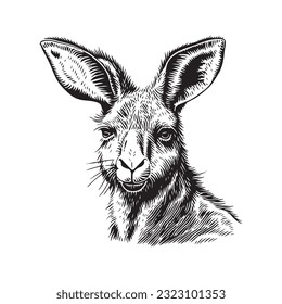 Kangaroo head vector illustration on a white background. Vintage Kangaroo illustration