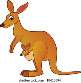 Kangaroo and her baby