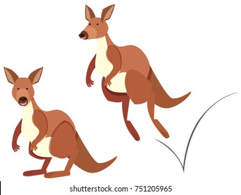 Kangaroo hopping on white background illustration