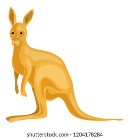 Kangaroo icon. Cartoon of kangaroo vector icon for web design isolated on white background