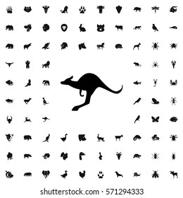 kangaroo icon illustration isolated vector sign symbol