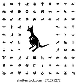 kangaroo icon illustration isolated vector sign symbol