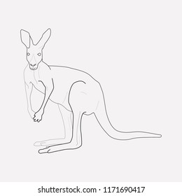 Kangaroo icon line element. Vector illustration of kangaroo icon line isolated on clean background for your web mobile app logo design.