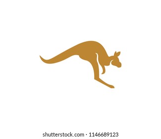 Kangaroo icon logo design vector illustration