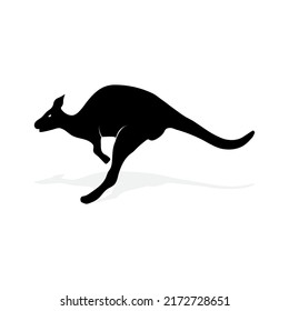 kangaroo icon vector, kangro silhouette isolated on white background.