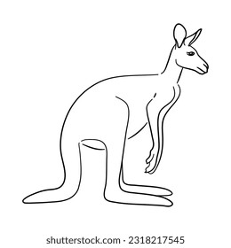 Kangaroo illustration in hand drawn design. Vector.