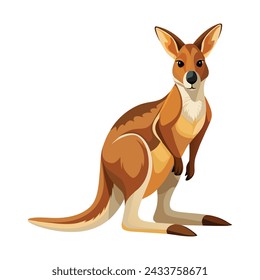 Kangaroo Illustration on White Background