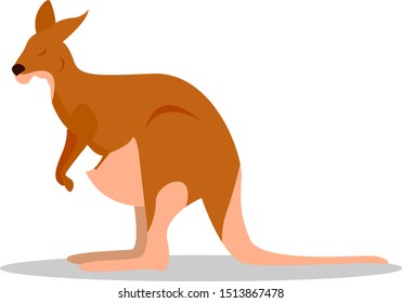 Kangaroo, illustration, vector on white background.