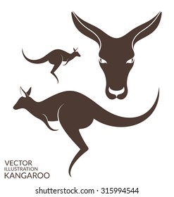 Kangaroo. Isolated animals on white background. Vector illustration  