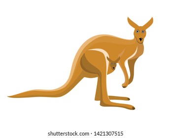 Kangaroo isolated on white background. vector