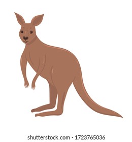 Kangaroo isolated on a white background. Vector graphics.