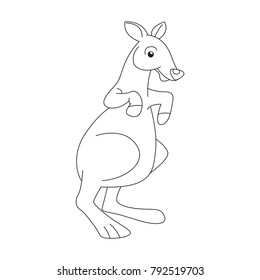 Kangaroo joey jumping