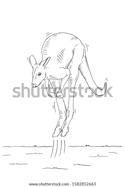 Kangaroo Jump Coloring Book Kid Adult Stock Vector (Royalty Free