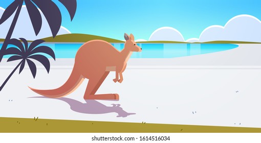 kangaroo jumping on pristine australian beach wild animal wildlife fauna concept tropical island seascape background horizontal vector illustration