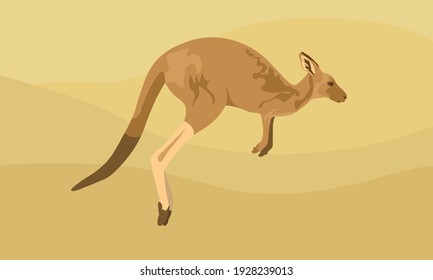 Kangaroo Jumping Vector Ilustration Clipart 
Standing Wild Kangaroo Animal Vector