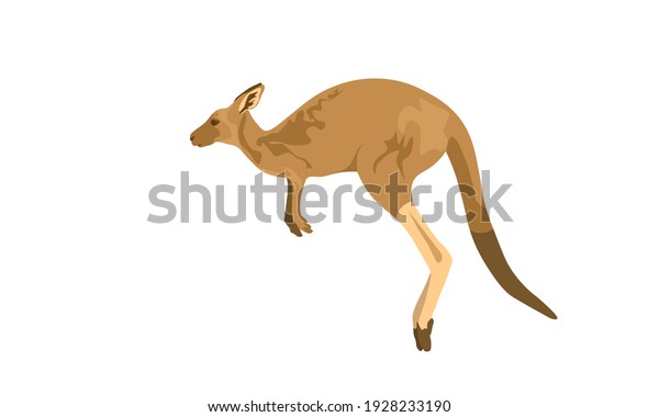 カンガルージャンプベクターイラストクリップアート 野生のカンガルー動物のベクター画像 のベクター画像素材 ロイヤリティフリー