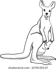 kangaroo and its kid hand drawn vector illustration. eps