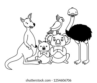 kangaroo koala wombat cockatoo and emu