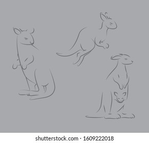 Kangaroo Line Art Conservation Style Animation Sequence Vector Illustration