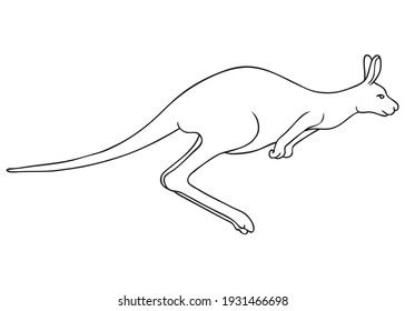 kangaroo line vector illustration,
isolated on white background.animals top view