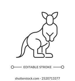 Kangaroo linear icon. Marsupial animal. Australian mammal. Wildlife habitat. Pouch kangaroo. Hopping animal. Thin line illustration. Contour symbol. Vector outline drawing. Editable stroke