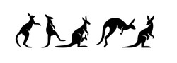  Kangoeroe Logo Icoon Ontwerpen Vector