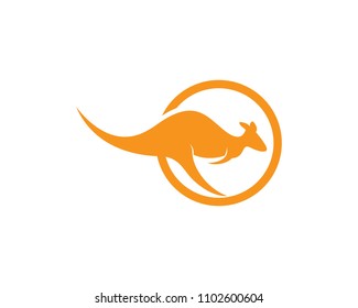 kangaroo Logo Template vector illustration