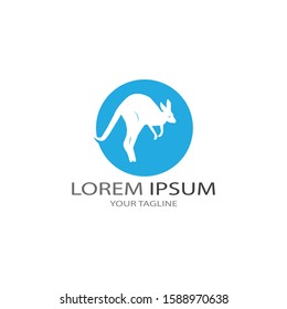  Kangaroo logo vector template icon 