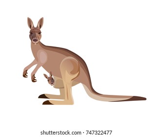 Kangaroo mother carrying a baby in its pouch. Vector illustration isolated on the white background