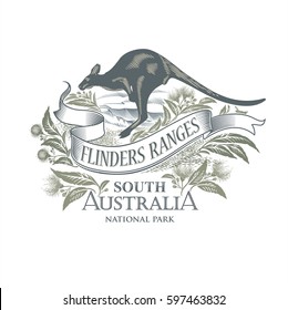 Kangaroo, the national Park Flinders Ranges, South Australia, illustration, vector